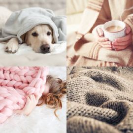 4 pics 1 word Daily puzzle December 9 2025