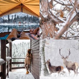 4 pics 1 word Daily puzzle December 21 2025