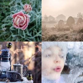 4 pics 1 word Daily puzzle December 19 2025