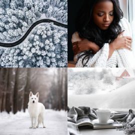 4 pics 1 word December 1 2025 Bonus puzzle