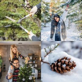 4 pics 1 word Daily puzzle December 25 2025