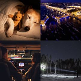 4 pics 1 word Daily puzzle December 29 2025