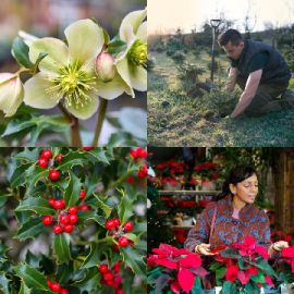 4 pics 1 word Daily puzzle December 6 2025