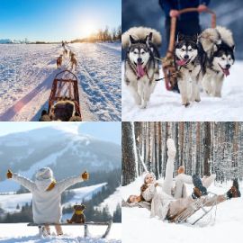 4 pics 1 word Daily puzzle December 11 2025