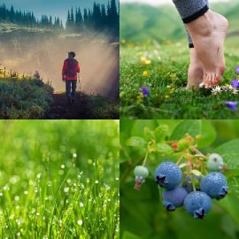 4 pics 1 word January 27 2026 Bonus puzzle