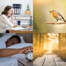 4 pics 1 word January 11 2026 Bonus puzzle