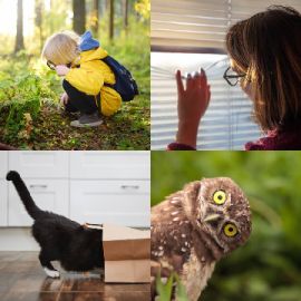 4 pics 1 word level 1306