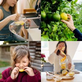 4 pics 1 word level 2952