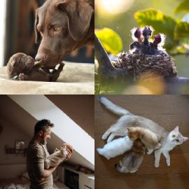 4 pics 1 word level 9077