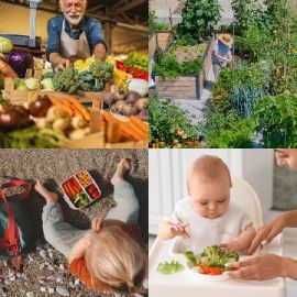 4 pics 1 word level 4270