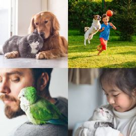 4 pics 1 word Daily puzzle February 22 2026