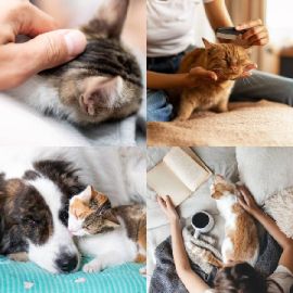 4 pics 1 word Daily puzzle February 13 2026