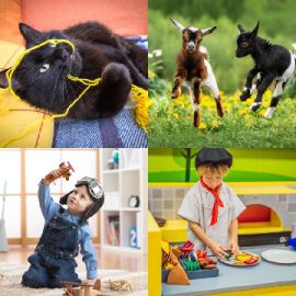 4 pics 1 word February 2 2026 Bonus puzzle