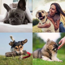 4 pics 1 word Daily puzzle February 2 2026