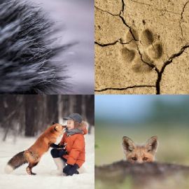 4 pics 1 word Daily puzzle April 17 2026