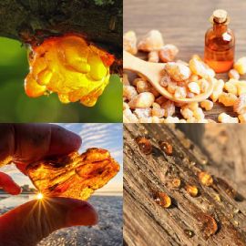 4 pics 1 word April 8 2026 Bonus puzzle
