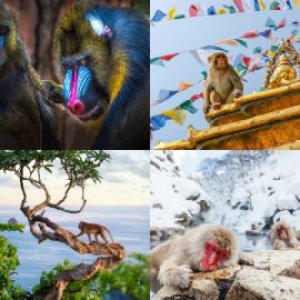 4 pics 1 word Daily puzzle April 23 2026