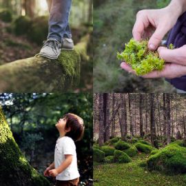 4 pics 1 word Daily puzzle April 3 2026