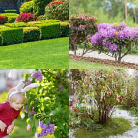 4 pics 1 word Daily puzzle April 8 2026