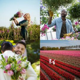 4 pics 1 word April 2 2026 Bonus puzzle