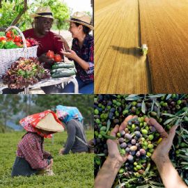 4 pics 1 word April 21 2026 Bonus puzzle