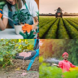 4 pics 1 word April 7 2026 Bonus puzzle