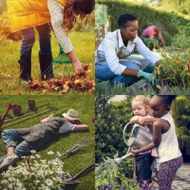 4 pics 1 word April 12 2026 Bonus puzzle