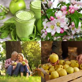 4 pics 1 word Daily puzzle April 28 2026
