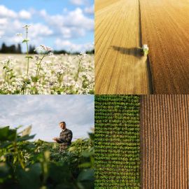 4 pics 1 word Daily puzzle April 6 2026