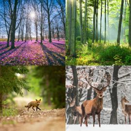 4 pics 1 word Daily puzzle April 14 2026