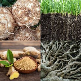 4 pics 1 word Daily puzzle April 19 2026