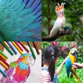 4 pics 1 word Daily puzzle April 20 2026