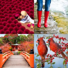 4 pics 1 word April 13 2026 Bonus puzzle