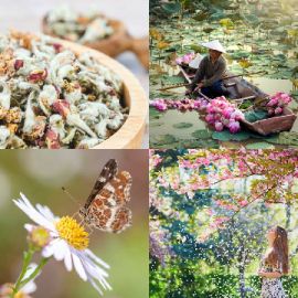 4 pics 1 word April 27 2026 Bonus puzzle