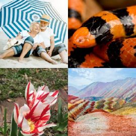 4 pics 1 word April 15 2026 Bonus puzzle