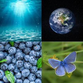 4 pics 1 word April 3 2026 Bonus puzzle