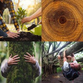 4 pics 1 word Daily puzzle April 12 2026