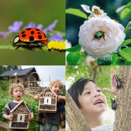4 pics 1 word Daily puzzle April 4 2026