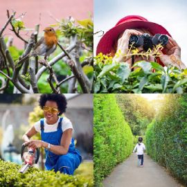 4 pics 1 word April 24 2026 Bonus puzzle