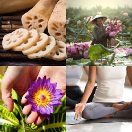 4 pics 1 word April 29 2026 Bonus puzzle