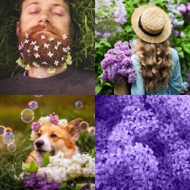 4 pics 1 word April 30 2026 Bonus puzzle