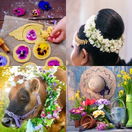 4 pics 1 word April 20 2026 Bonus puzzle