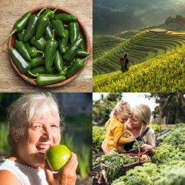4 pics 1 word Daily puzzle April 22 2026