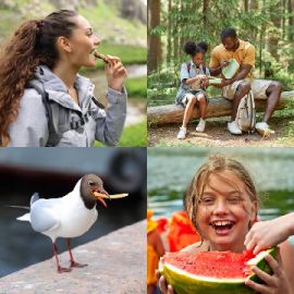 4 pics 1 word Daily puzzle June 22 2026