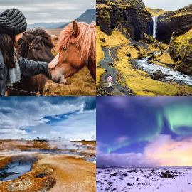 4 pics 1 word level 2350